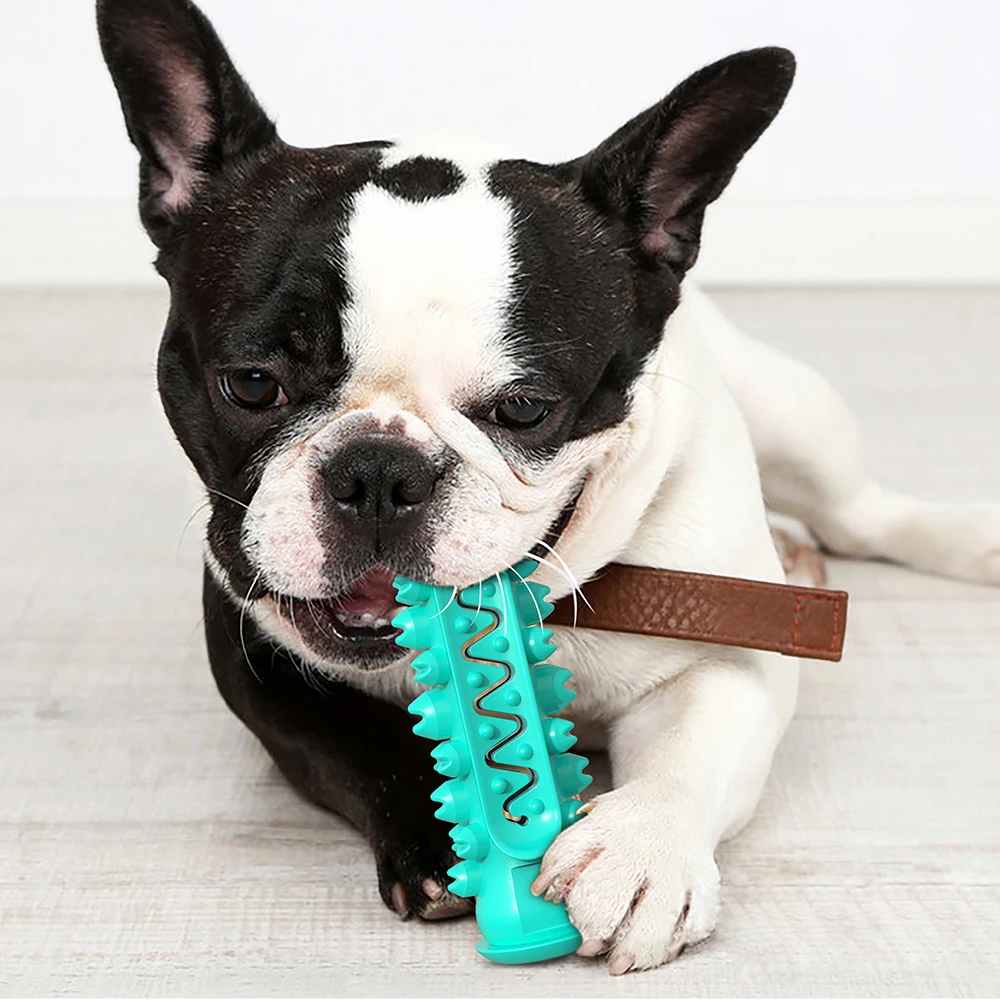 Dog Chew Toy For Small Medium Big Dogs Toothbrush Stick Molar