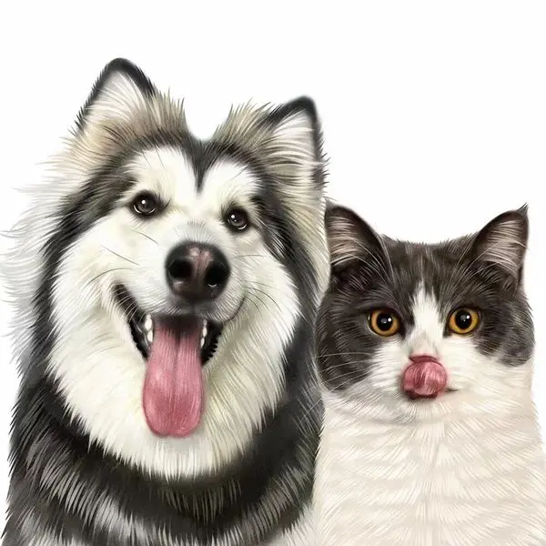 Pet-Living Store