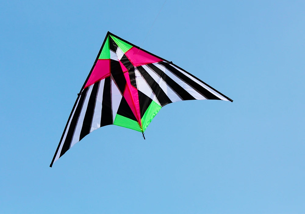 Outdoor Fun Sports New Arrive 2.5m Colorful Triangle Kites  With Handle & Line Good Flying 2
