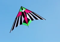 Outdoor Fun Sports New Arrive 2.5m Colorful Triangle Kites  With Handle & Line Good Flying 2