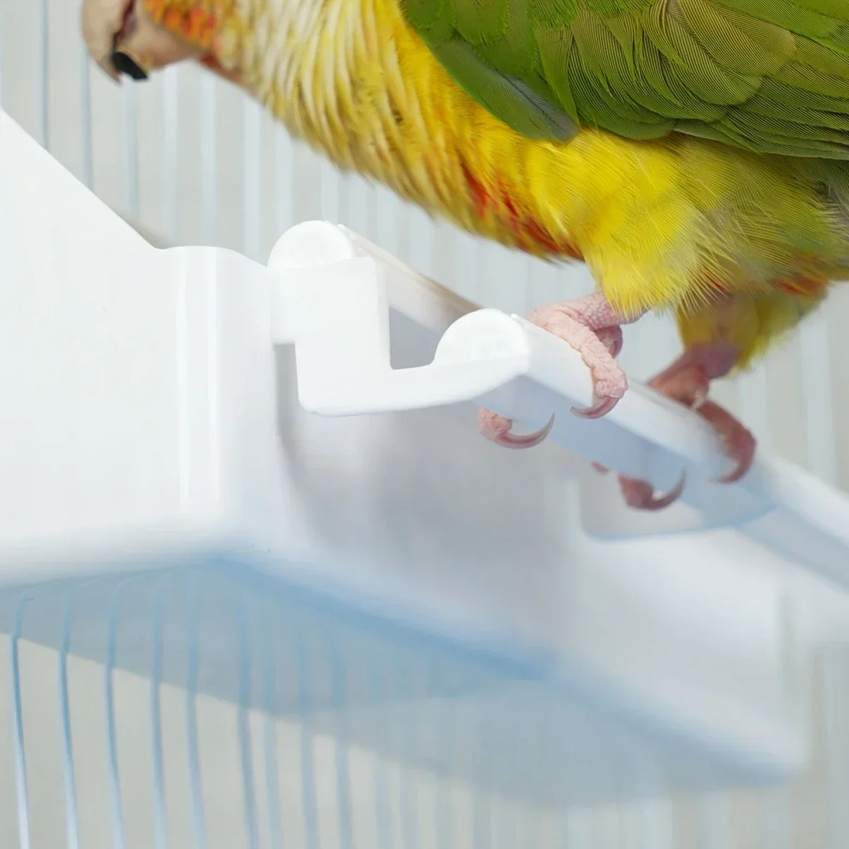 1pc-Bird trough parrot bird food box pigeon feeder parrot supplies bird feeder