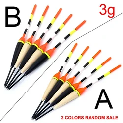 Professional Fishing Float Set | Vertical Buoy Accessories | 5 - Pack (3g)