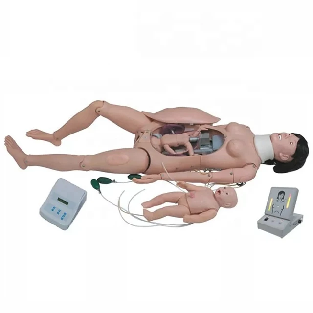 Medical Science Advanced Comprehensive Skills nursing model Training  Simulator Model Delivery Emergency Childbirth Simulator - AliExpress