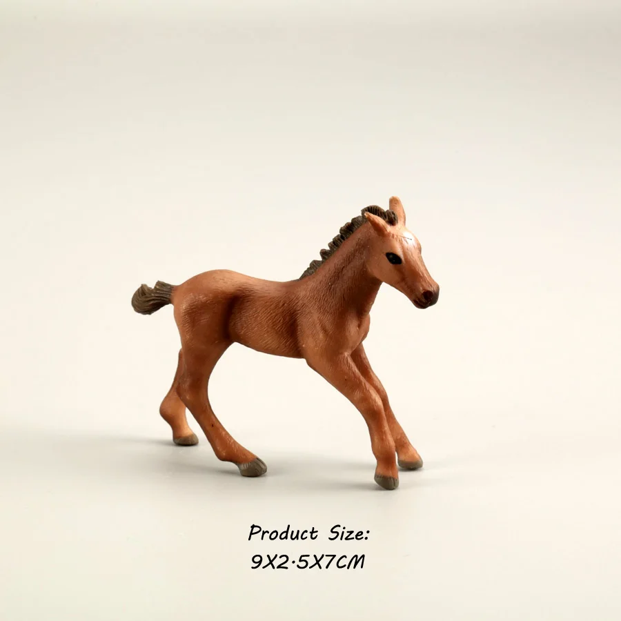 Horse 8