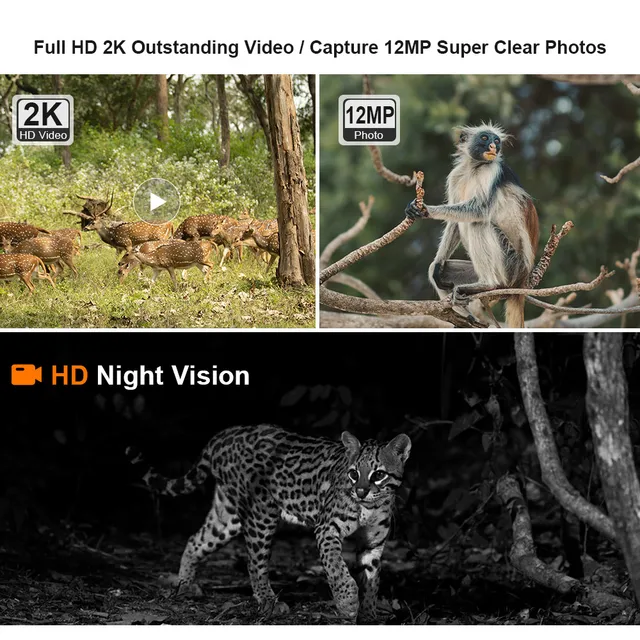 LS VISION 4MP 4G Trail Camera With Solar Panel GPS PIR Motion Detection IP66 Battery Hunting Wild Camera IR Night Vision Forest 5