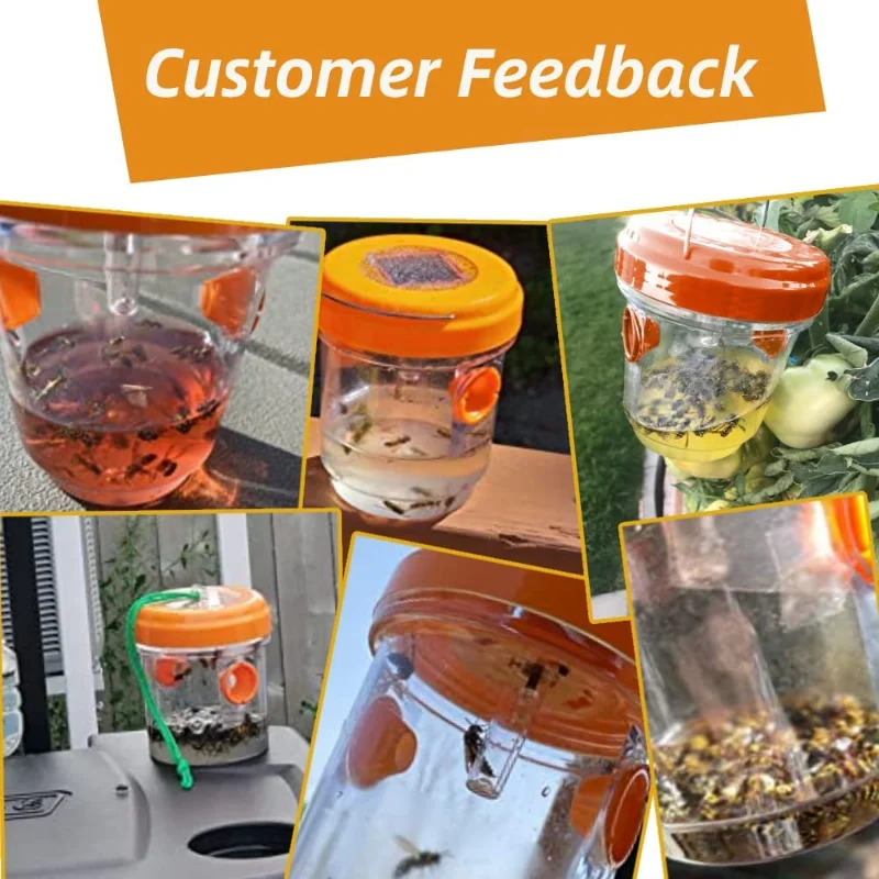 Solar-Powered UV LED Insect Trap for Wasps and Yellow Jackets