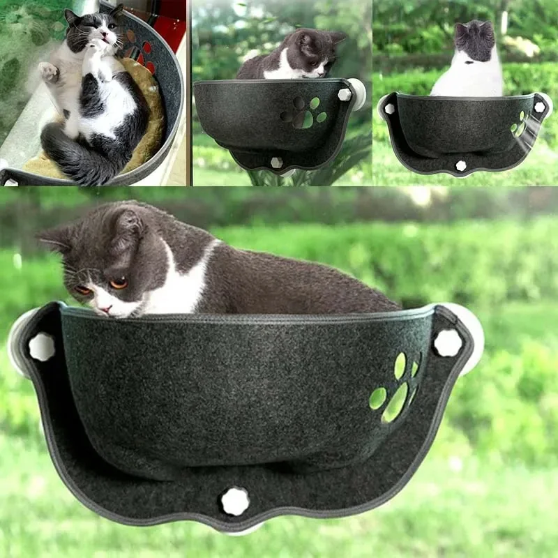  â ظ,   , ֿ  ŰƼ ̽  ħ ,    ,   Ʈ ħ
