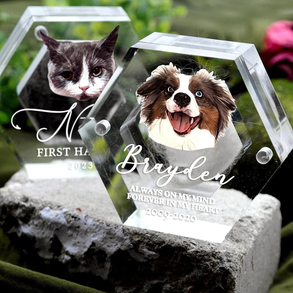 Personalized Pet Fur Keepsake With Photo Pet Hair Box Dog Cat Fur Memorial Box Gifts for Lovers Friends