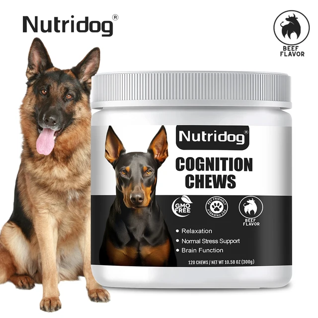 Ração cognitiva com DHA e glicerofosphocholine Para atrasar a dementia canina + aumentar a memória