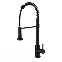 Vegetable basin faucet Two-speed rotatable multi-functional kitchen black spring hot and cold faucet 6