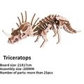 Triceratops