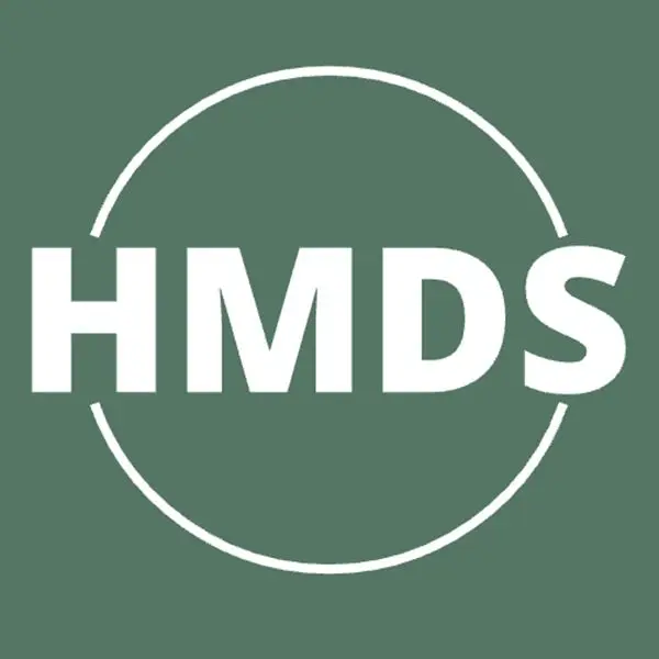 HMDS Electronics Store