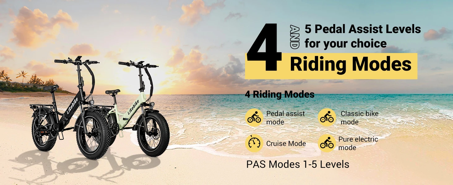 Electric Bike for Adults