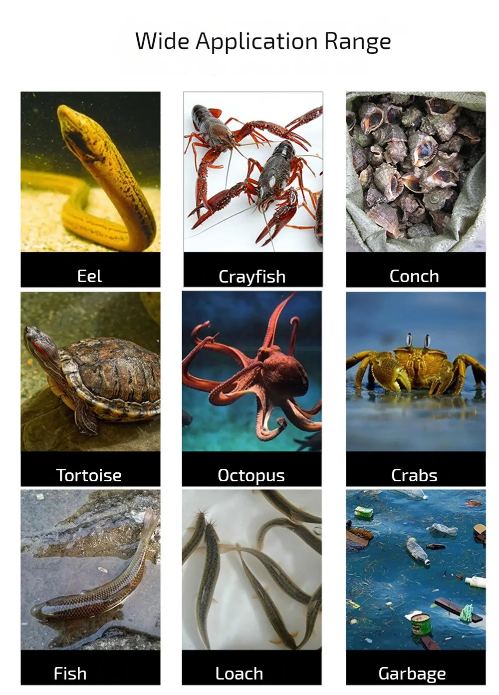 Description Picture 4 of itemSeafood Reinforced Eels Clip Long Handle Sea-Crab Tong Hand Tool Non-Slip Fishing Catch Tools Stainless Steel Tongs