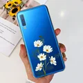 Case-c62