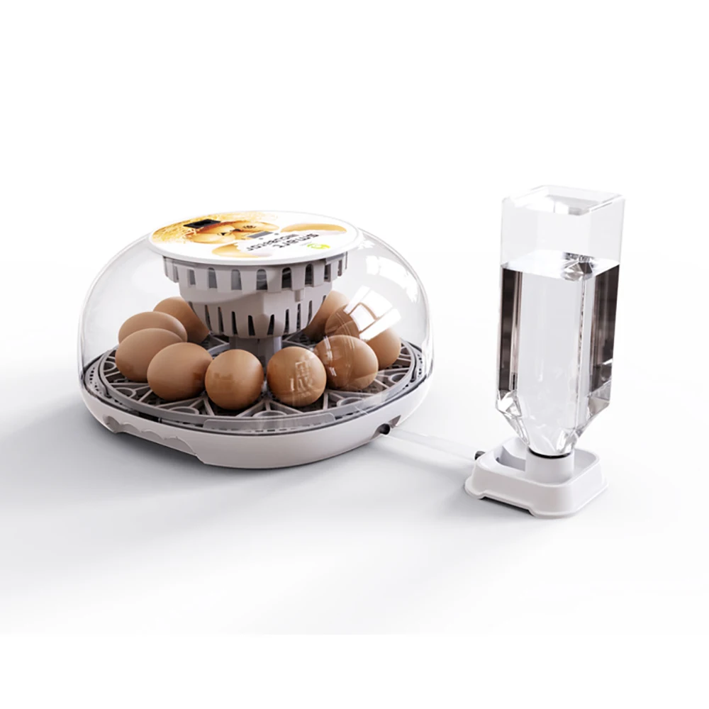 Incubateur D'oeufs Automatique Nettoyage Facile Couveuse De Poulet Pour  Caille