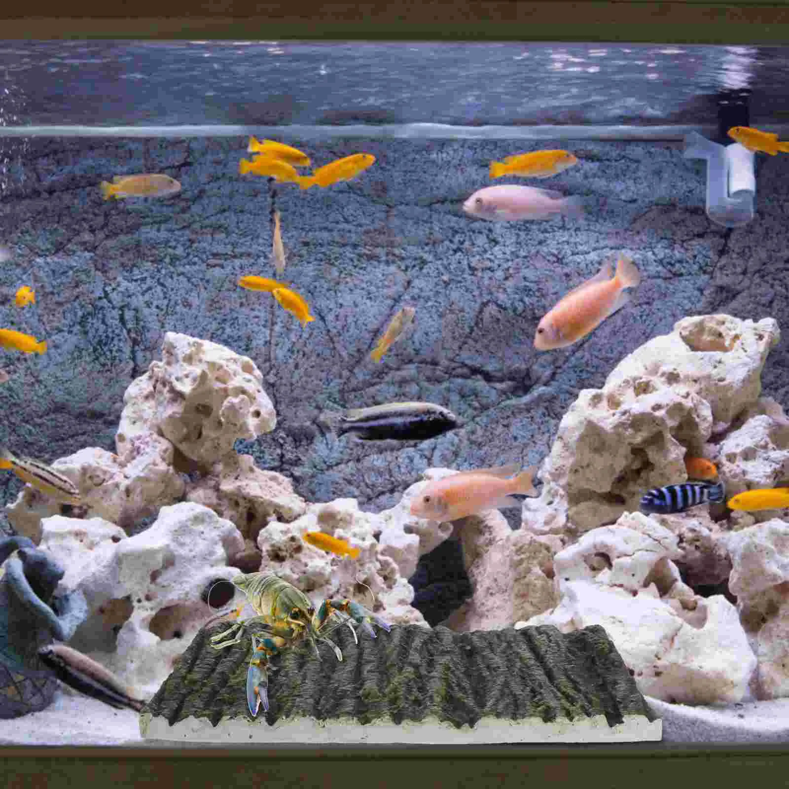 Vivarium Background Poster