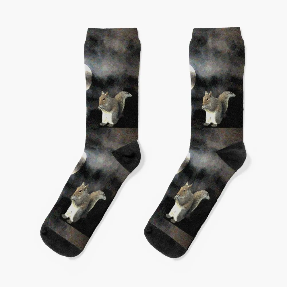 

Squirrels In Space Socks sheer fashionable ankle Socks Men's Women's