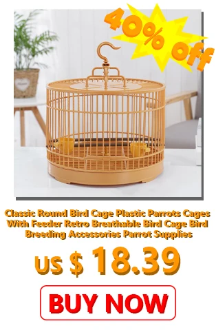 classic round bird cage