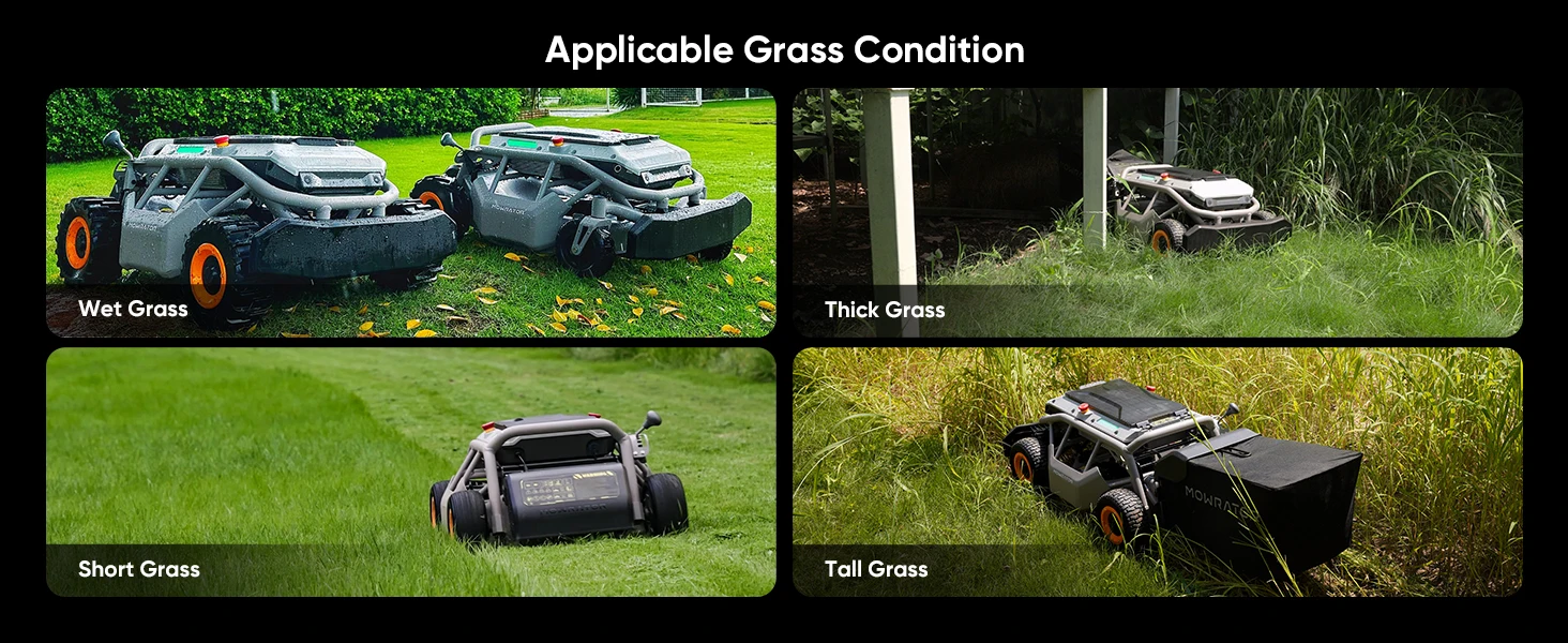 grass