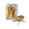 Wind Up Toys - Wind-up Beetle Toys, Simulated Realistic Plastic Beetle, Wind Up Animal Party Favors Toy, Great Gift for Kids 1