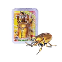 Wind Up Toys - Wind-up Beetle Toys, Simulated Realistic Plastic Beetle, Wind Up Animal Party Favors Toy, Great Gift for Kids 1