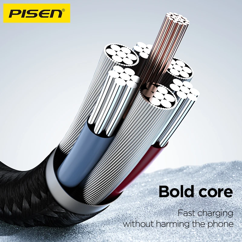 Pisen Cable Type-C Fast Charging iPhone