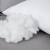 Throw Pillows Insert 30x50cm 45x45cm 50x50cm Cushion Inner Soft Fluffy Plump Stuffer Cushion Pads White Decorative Pillow Insert 3