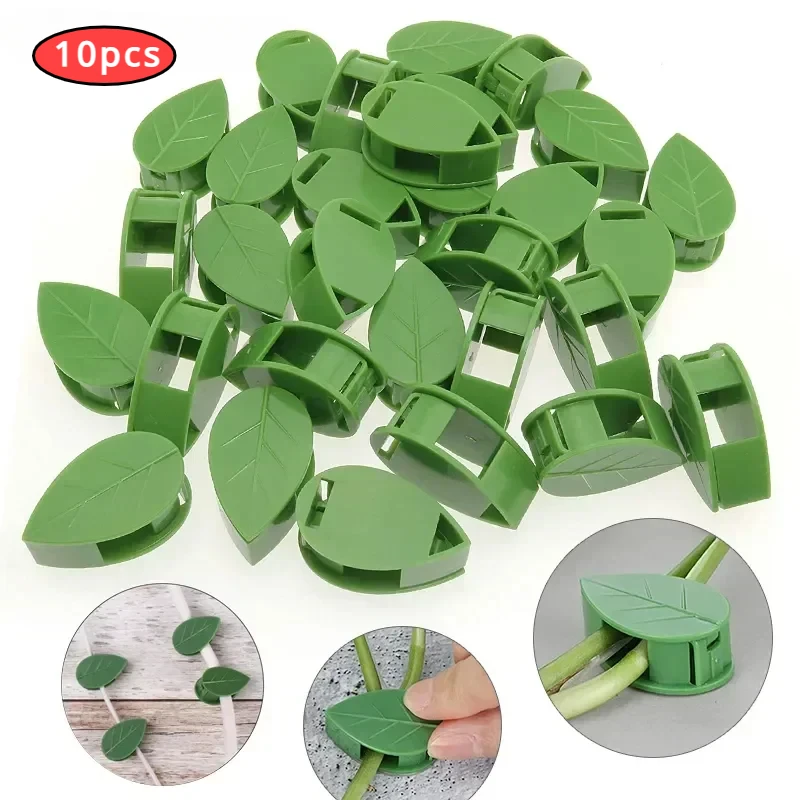 

10 PCS Invisible Plant Wall Climbing Device Vine Bracket Fixed Buckle Leaf Clip Plant Clip Traction Rack Garden Supplies