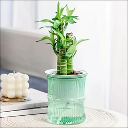 Self-Watering Lazy Hydroponic Flower Pot - Transparent Double-Layer Design (Green)