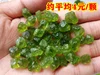 100 Cts Natural Olive Green Peridot Rough loose Gemstone lot 4