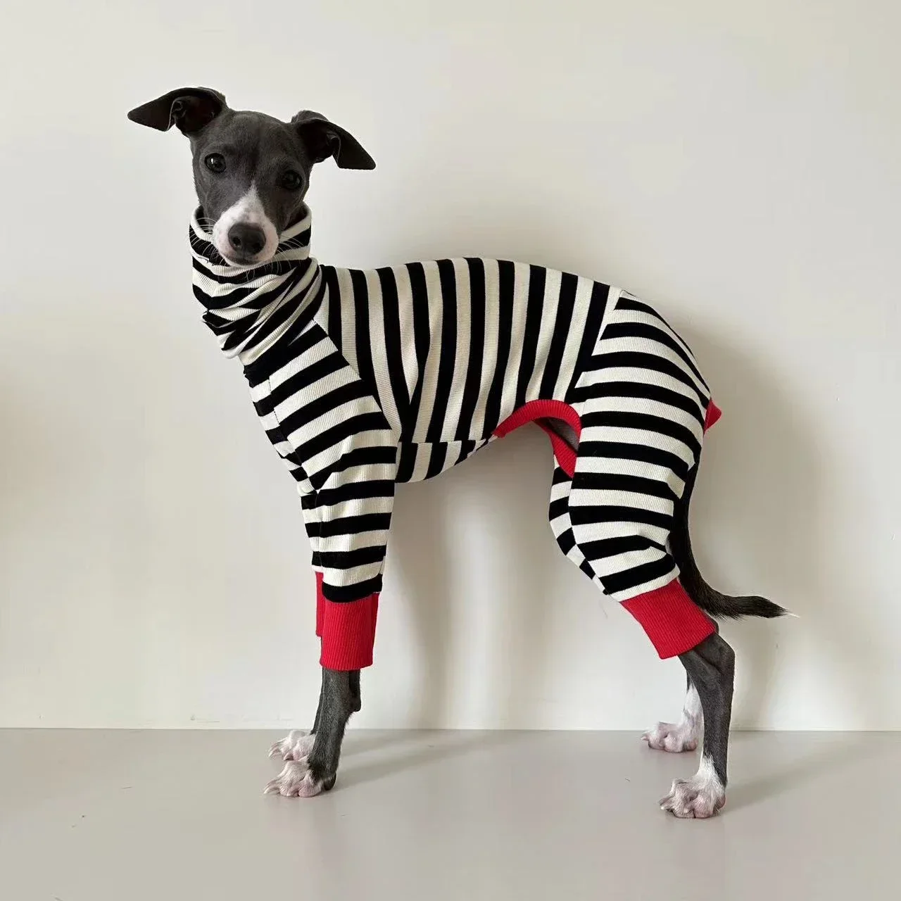 Italian greyhound striped four-legged clothing soft stretchy whippet - Main Image