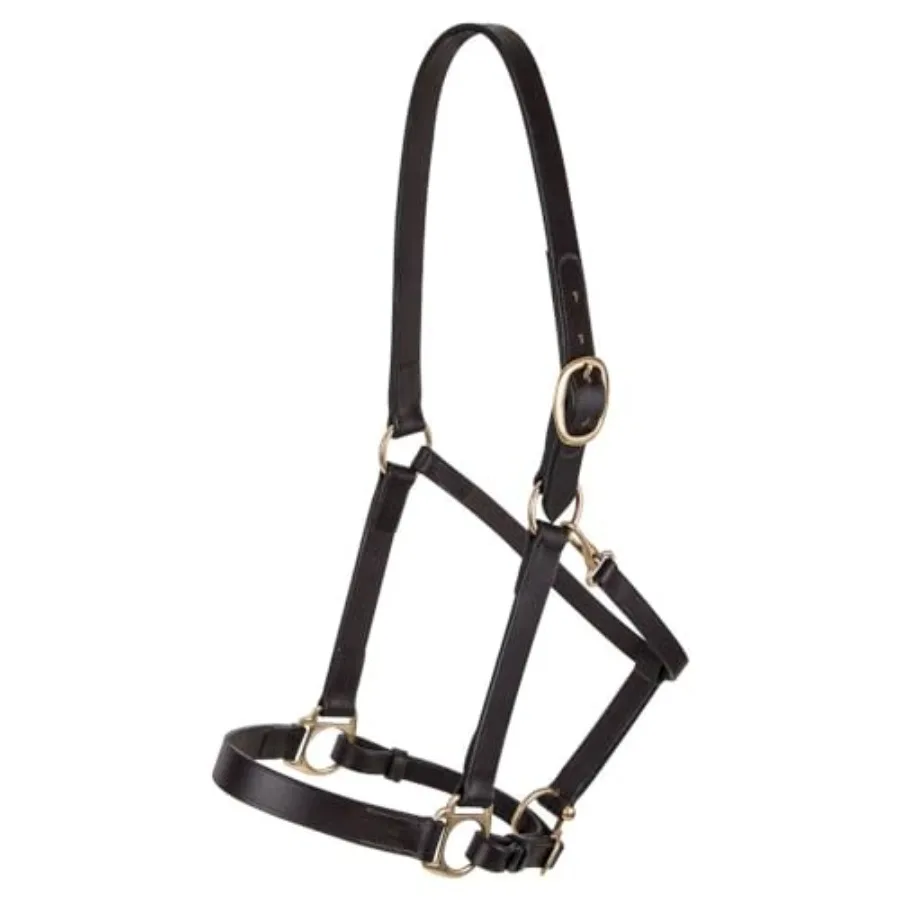 Horse halter for daily use premium Lancaster leather classic brown adjustable fit with solid brass hardware