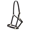 Horse halter for daily use premium Lancaster leather classic brown adjustable fit with solid brass hardware