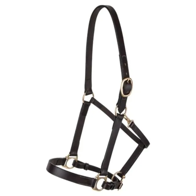 Horse halter for daily use premium Lancaster leather classic brown adjustable fit with solid brass hardware