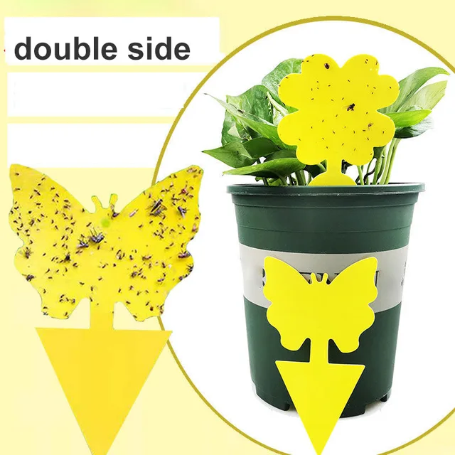 5x 강력한 끈끈한 트랩으로 해충을 襖파하고 집을 곤충 없는 지대로 만드십시오.