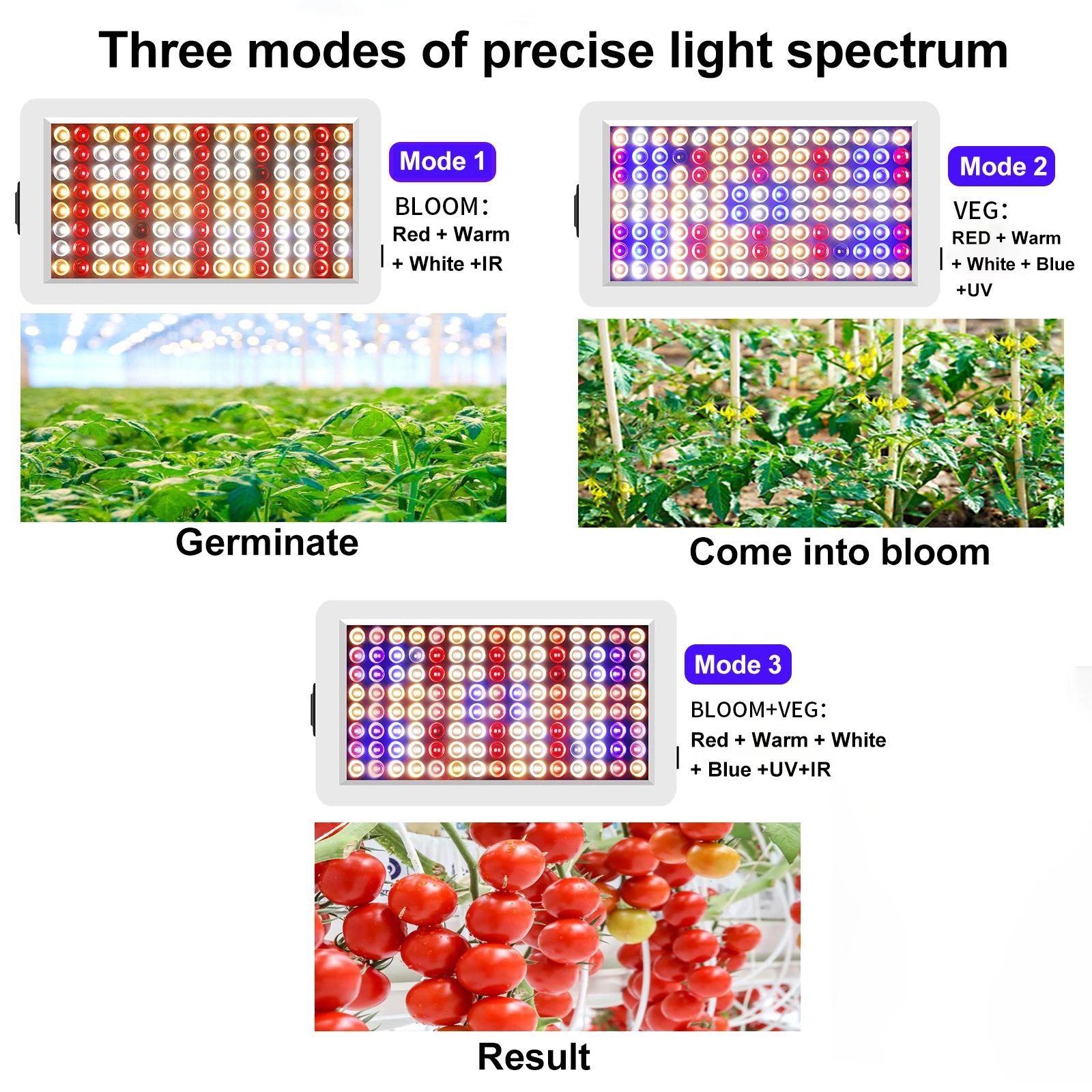 리모컨 LED 식물 성장 조명, 전체 스펙트럼 식물 조명, VEG 및 BLOOM 블록 모드, 플랑젠램프, LED Vollspektrum, 2000W