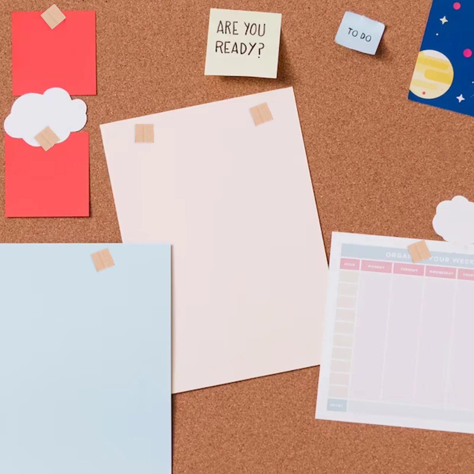 100개 코르크 보드용 나무 푸시핀, 사무실/학교용 게시판, 사진, 메모, 지도 표시용 벽걸이 핀