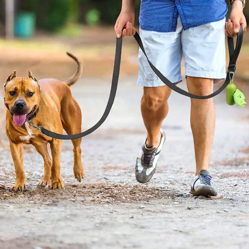 Pet Reflective Traction Rope Nylon strong traction rope Small medium and large sized dog gold retriever leash 120/150/200/300 cm dog leash,pet accessories