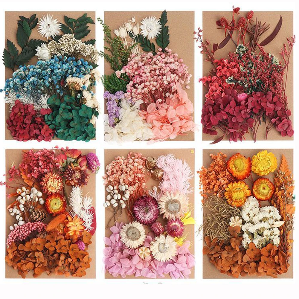 DIY Dried Flowers for Resin Mold Fillings Flower Pressed Dried