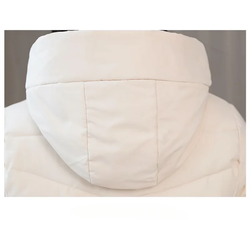 Down Cotton Jacket for Women In Autumn Winter 2023 New Trendy Loose Fitting Casual Student Bread Jacket Short Covered Belly Hood