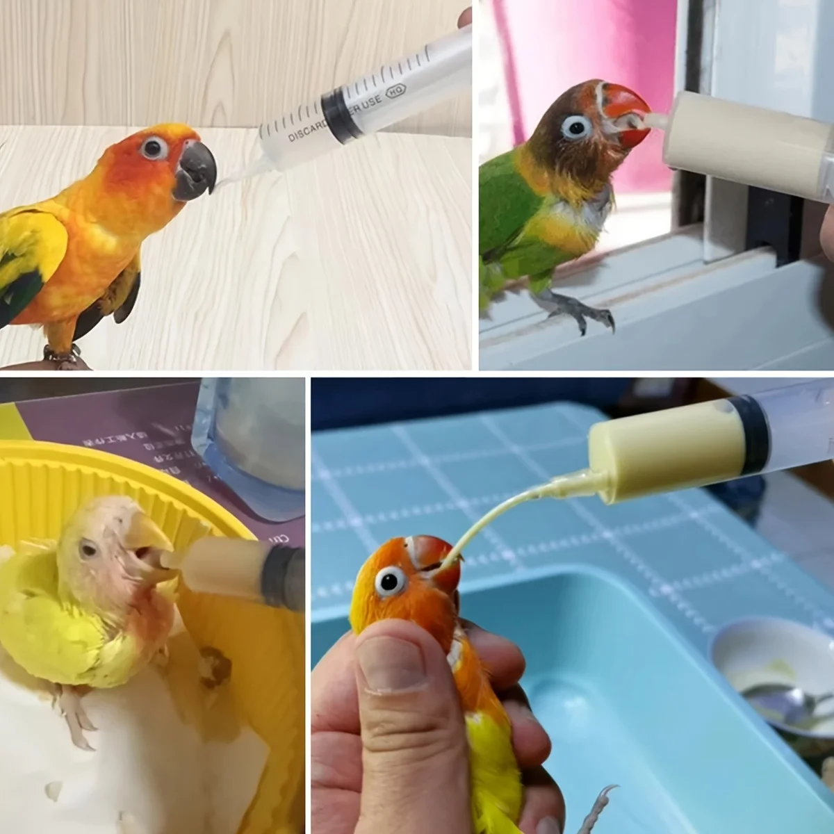 1 set of bird feeding syringe - Baby bird parrot feeding tube - Manual feeding syringe, can be used for small birds, kittens and 3