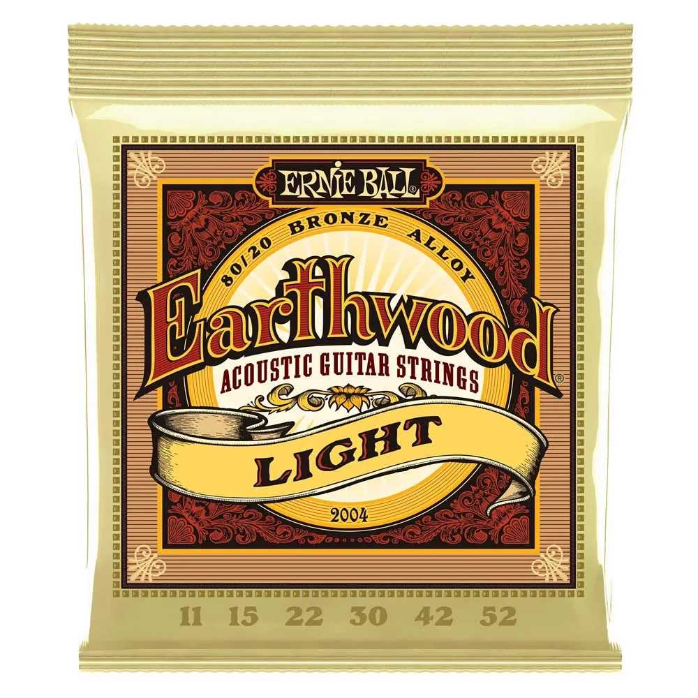 Ernie Ball Earthwood Acoustic Guitar Strings 2