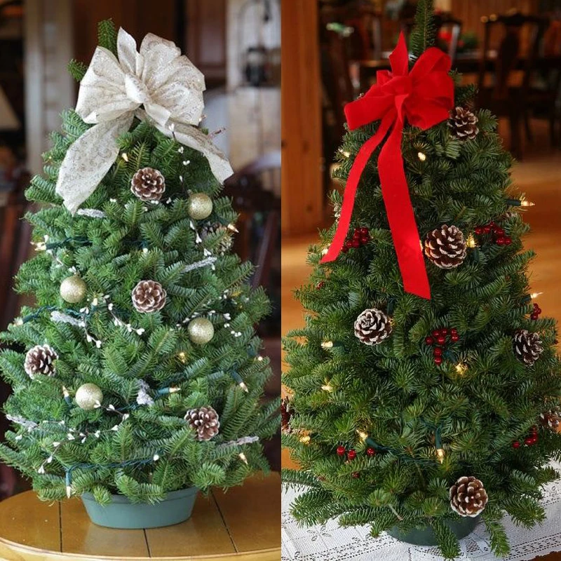 Quali rami di alberi utilizzare per delle decorazioni natalizie: guida botanica | BLOG