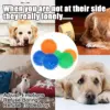 Fetch Spike Balls TPR Training Sounding Toys for Pet Small Dogs Puppy Rubber Bright Colors Chew Teething Tooth Cleaning Toys 6