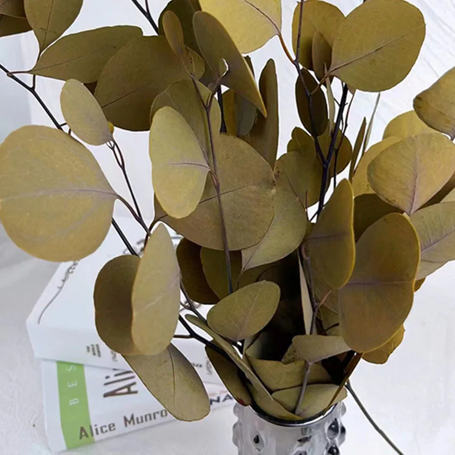 

Сохраненный вечный натуральный яблочный эвкалипт, круглый лист Lmmortal, эвкалипт, офисный Декор для дома, цветы, долгое свежее растение, около 90 г