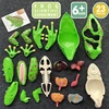 4D Frog Anatomy Model Montessori Toys Detachable Frog Organs STEM Biology Education Teaching Aid Early Learning Toy for Children 5