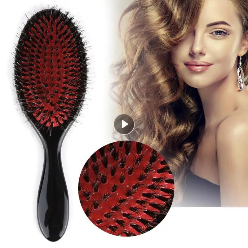 

Boar Bristle Detangling Scalp Massage Professional Salon Hair Brush Women Portable Comb Scalp Massage Comb Professional Gentle