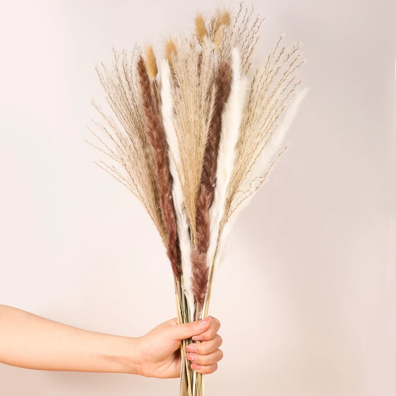 

40pcs Natural Dried Pampas Grass Phragmites Boho Home Decor Dried Flowers Phragmites Wedding Arrangement Holiday Party Decor