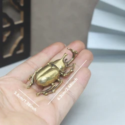 Brass Spider and Beetle Insect Figurines for Home Decor and Accessories (Unicorn beetle)